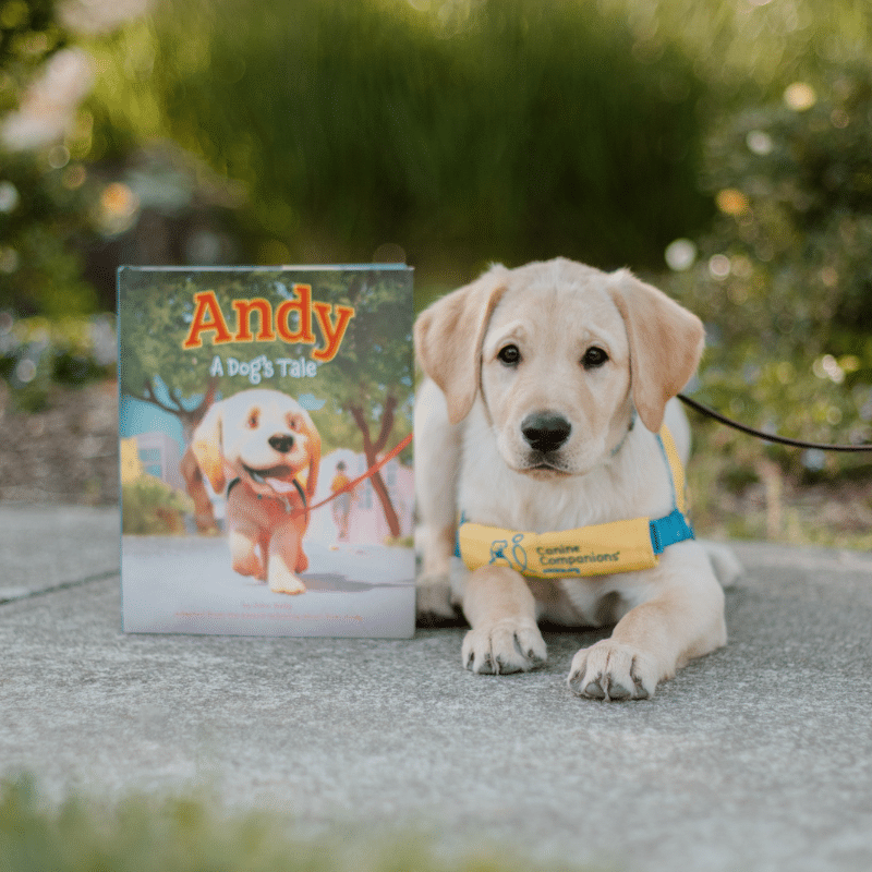 A light-colored Labrador puppy sits on a concrete surface next to a children's book titled 'Andy: A Dog's Tale', featuring a cartoon dog on the cover. The puppy is wearing a yellow vest with the logo of Canine Companions and has an attentive expression.