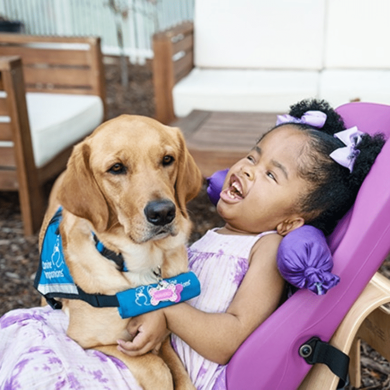 A young girl with curly hair and a purple hair bow smiles while sitting in a support chair, holding onto a large, friendly golden retriever dog beside her, which is wearing a blue service vest. They are outdoors in a sunny setting with wooden furniture in the background.