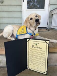 A yellow Labrador retriever wearing a blue and yellow vest from Canine Companions is resting on a wooden porch next to an open proclamation document from the Office of the Mayor, detailing a recognition related to service animals.