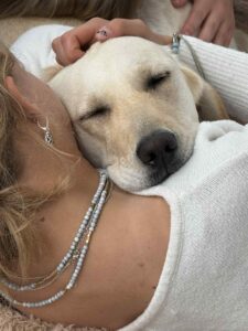 A close-up of a relaxed dog resting its head against a person's shoulder, eyes closed, with gentle affection being shown by a hand gently petting it. The person's back is partially visible, adorned with layered necklaces, and they are wearing a light-colored top.