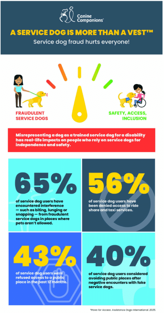 Infographic titled 'A Service Dog is More Than a Vest™' by Canine Companions, highlighting the issue of service dog fraud. It features a scale indicating 'Fraudulent Service Dogs' and 'Safety, Access, Inclusion.' The text states that misrepresenting service dogs impacts those relying on them. Key statistics: 65% of service dog users faced interference from fraudulent dogs; 56% were denied access to ride shares; 43% were refused access to public places; 40% considered avoiding public places after experiencing issues with fake service dogs.