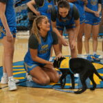 A group of female basketball players in blue uniforms interact with a black dog dressed in a yellow service vest labeled "Canine Companion" on a basketball court. One player is kneeling, petting the dog, while others stand around, smiling and observing the interaction.