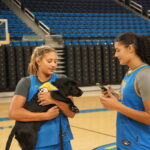 Two female basketball players in a gym holding a black puppy; one player cradles the puppy while the other looks at her phone. The background features basketball seating and a hoop.