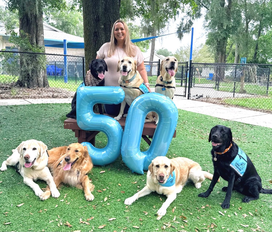 A woman poses with seven dogs in a grassy park, holding large blue balloons shaped like the number 50. The dogs, mostly Labradors and a Golden Retriever, are wearing blue vests. The setting includes a fenced area and trees in the background.