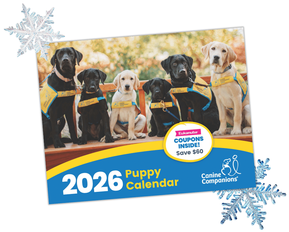 A 2026 Puppy Calendar featuring six puppies, mostly black Labradors, wearing yellow vests from Canine Companions, with a backdrop of blurred greenery. The calendar's front displays a graphic about coupons for Eukanuba, highlighting a $60 savings. Snowflake motifs are present in the corners.