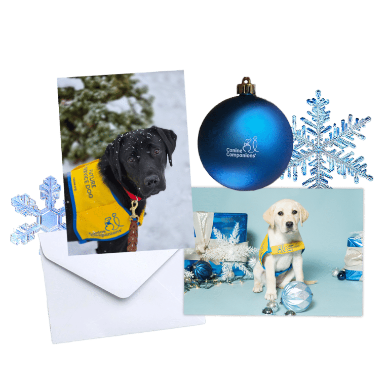 Collage featuring a black dog wearing a yellow vest labeled 'Future Service Dog' in a snowy setting, a yellow puppy wearing a similar vest in a light blue backdrop surrounded by holiday decorations, a blue ornament labeled 'Canine Companions,' and decorative snowflakes.