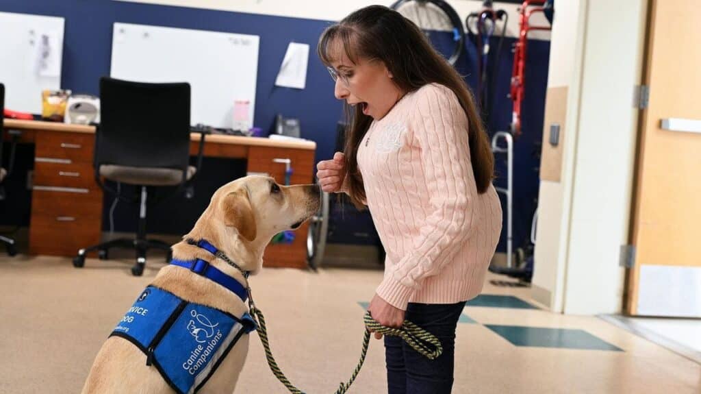 A young girl in a pink sweater looks surprised while interacting with a yellow Labrador service dog, which is wearing a blue vest, in a well-lit room with office furniture and equipment in the background.