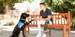 A young man with a prosthetic leg sitting on a wooden bench, smiling and gently shaking hands with a black Labrador Retriever wearing a blue service vest, in a sunny outdoor setting with greenery in the background.