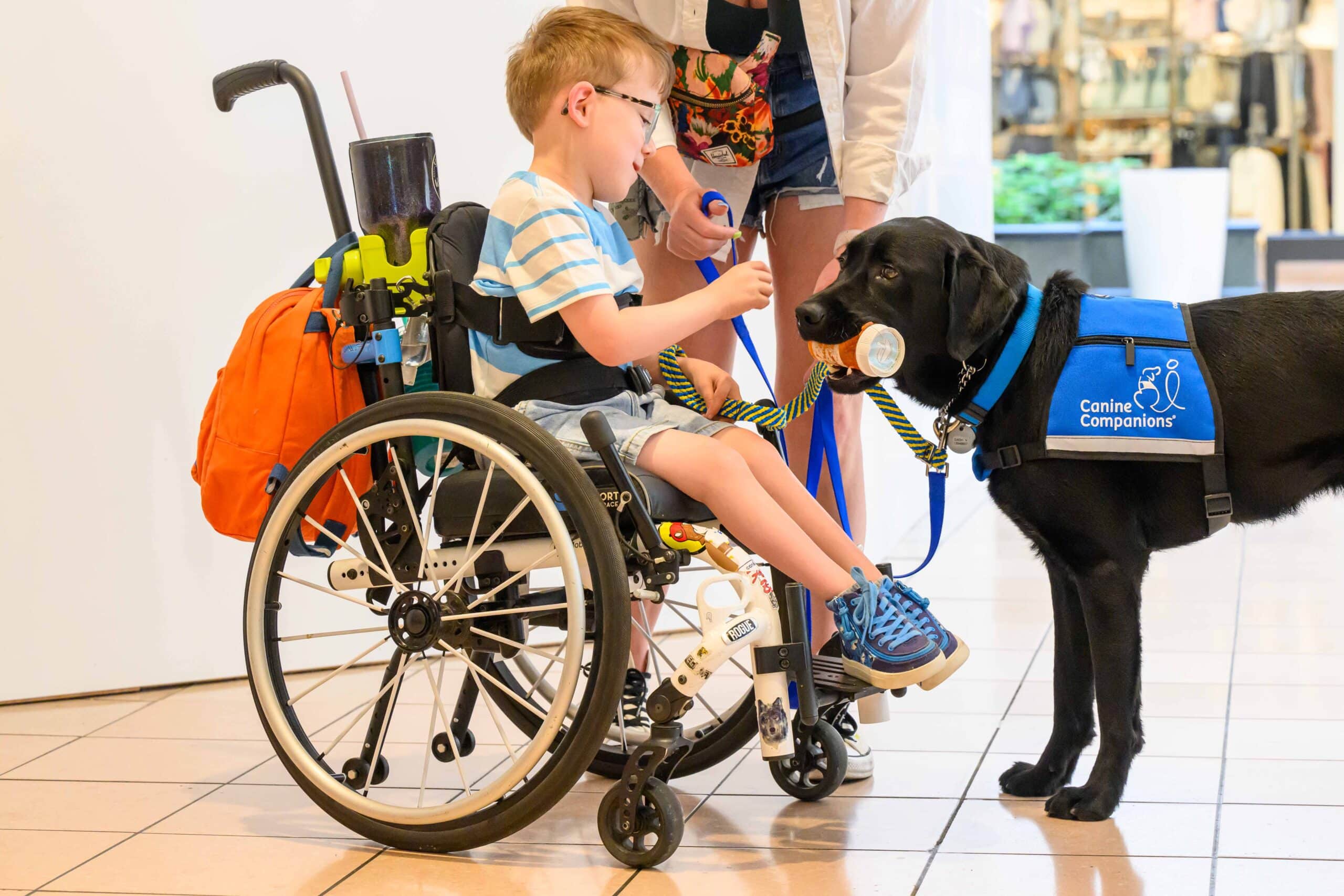 A young boy in a wheelchair reaches toward a black service dog wearing a blue Canine Companions vest that holds a small orange container in its mouth while an adult steadies the leash.