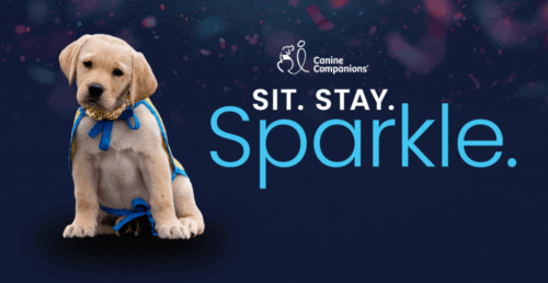 Yellow Labrador puppy wearing a gold sparkling collar and yellow cape sits on a dark confetti-speckled background beside the Canine Companions logo and the large text "SIT. STAY. Sparkle."