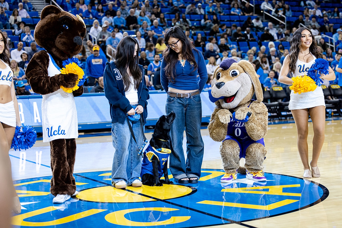 Two young women stand at center court with a black service dog in a UCLA vest between them, flanked by two costumed mascots and cheerleaders holding blue-and-yellow pom-poms, with fans in the arena seats behind them.
