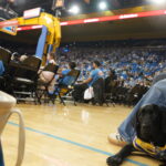A black Labrador wearing a blue-and-yellow team jersey and leash lies on the basketball court next to a seated person in jeans at the sidelines of a crowded arena.