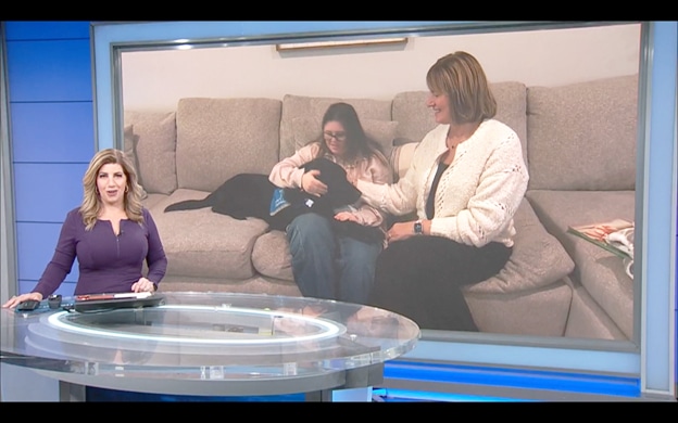 Television news anchor at a glass desk in a studio with a large background screen showing a girl and an older woman sitting on a beige couch petting a black dog.