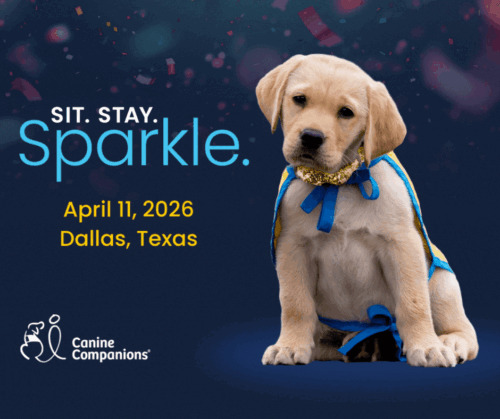 A yellow Labrador puppy wearing a gold sparkly collar and yellow cape sits against a dark confetti background next to event text “Sit. Stay. Sparkle.” with date April 11, 2026, Dallas, Texas, and the Canine Companions logo.