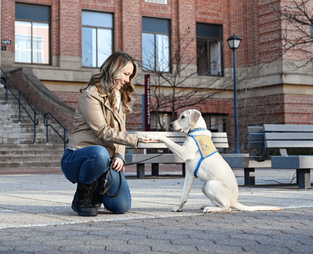 A kneeling woman in a tan jacket and jeans holds out her hand while a yellow-vested Labrador service dog places a paw on it on a paved plaza in front of a brick building and benches.