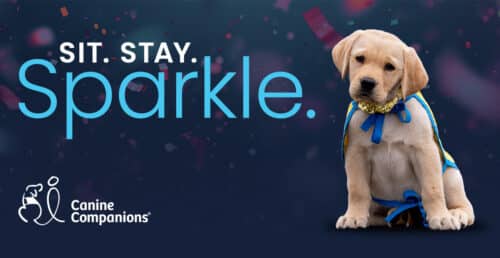 Yellow Labrador puppy in a blue cape and gold collar sitting beside Sit. Stay. Sparkle and Canine Companions logo.