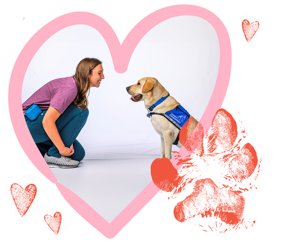 Woman crouching and smiling at a Labrador wearing a blue service dog vest, framed inside a pink heart-shaped graphic.