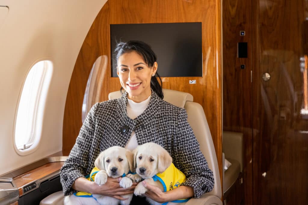 Smiling woman in a tweed jacket seated in a private jet holding two yellow-vested Labrador puppies