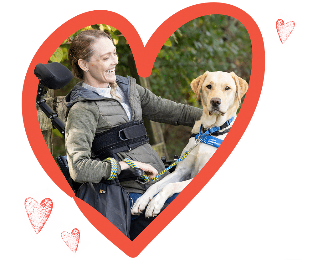 Smiling woman in a wheelchair with a yellow Labrador assistance dog wearing a blue harness, framed inside a red heart.