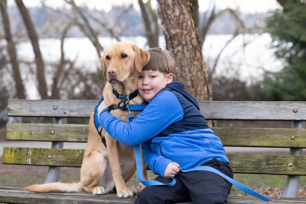Young boy in a blue jacket hugging a golden Labrador wearing a blue harness and leash on a weathered park bench.