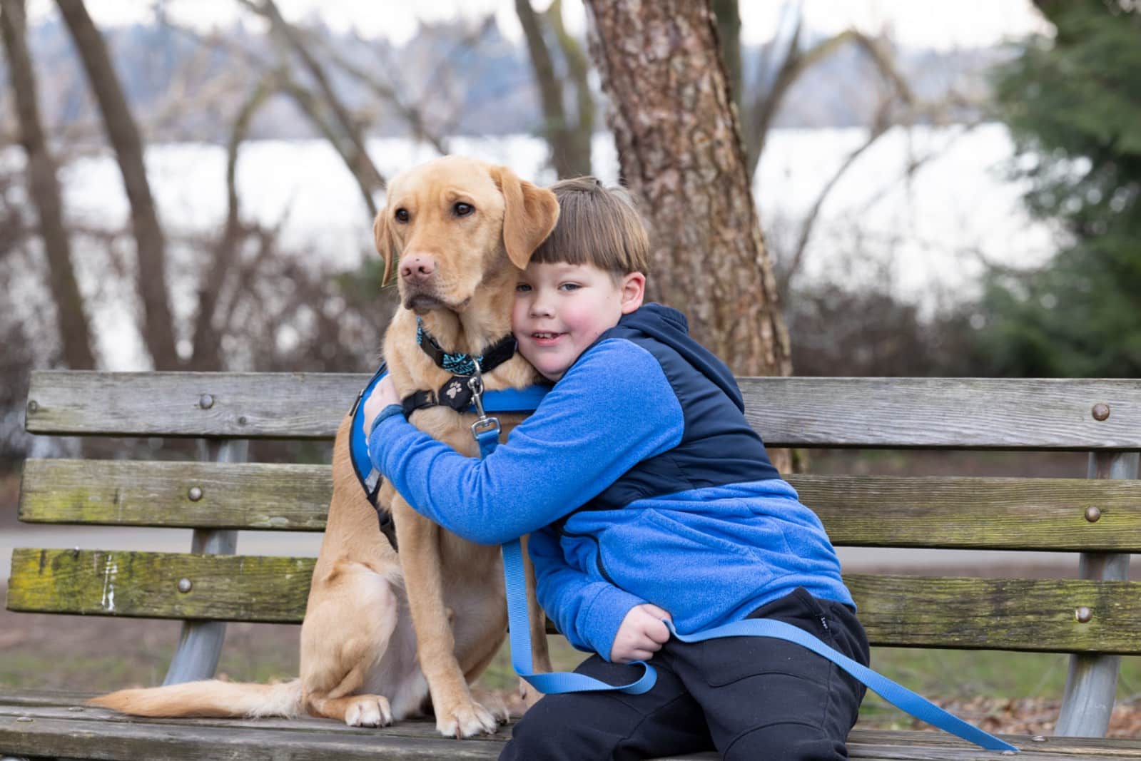 Young boy in a blue jacket hugging a golden Labrador wearing a blue harness and leash on a weathered park bench.