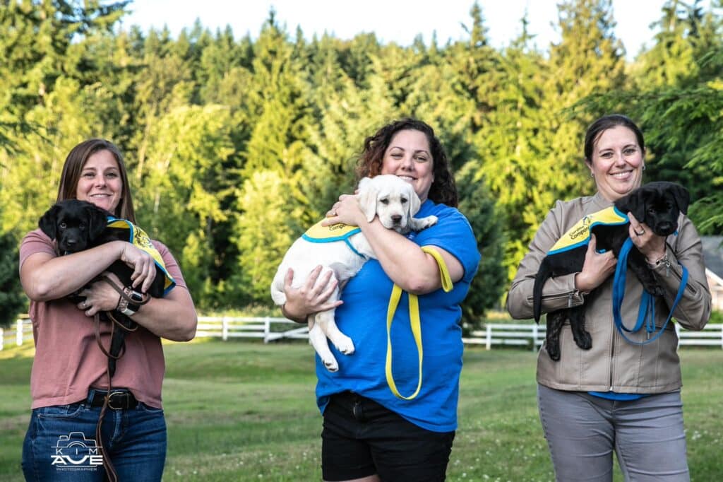 Three smiling women standing in a grassy field holding three Labrador puppies wearing yellow training vests.