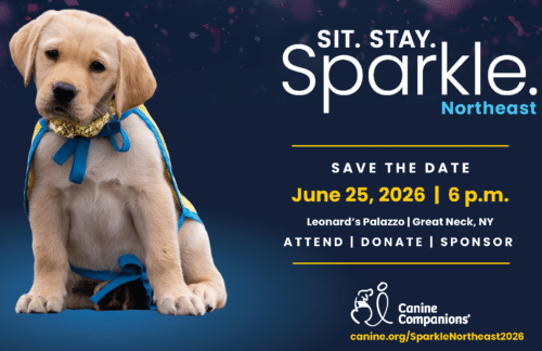 Yellow lab puppy in blue-yellow cape and gold bow beside text 'Sit. Stay. Sparkle' Save the date June 25, 2026.