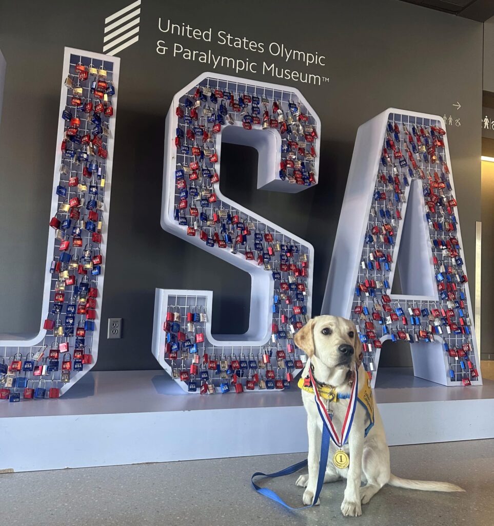 Yellow Labrador puppy in a service vest with a gold medal, sitting before giant USA letters filled with locks