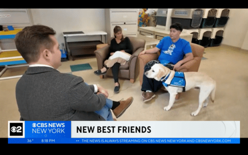 TV interview with two people and a Labrador in a blue service vest; CBS News New York chyron reads "NEW BEST FRIENDS."
