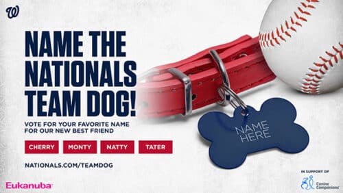 Promotional graphic asking fans to "Name the Nationals team dog!" with four name options (Cherry, Monty, Natty, Tater), a red dog collar with a blue bone-shaped tag reading "NAME HERE," and a baseball in the background.