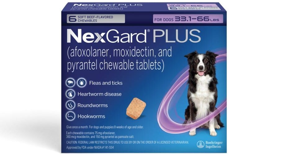 NexGard PLUS dog box with black-and-white dog, tablet image, and icons for fleas, ticks, heartworm and worms.