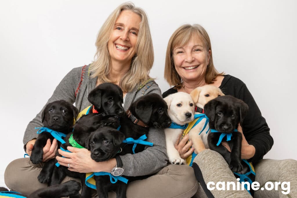 Two smiling older women seated together holding a litter of black and yellow Labrador puppies wearing colorful ribbons and vests, white background, "canine.org" logo.