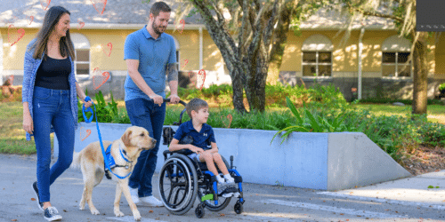 Family outdoors with a boy in a wheelchair pushed by a man, a woman holding a blue-leashed service dog walking beside them in a park-like neighborhood.