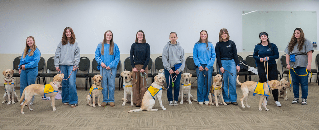 Eleven young handlers standing in a row indoors with ten yellow-vested Labrador retriever guide dogs on leashes, chairs and a whiteboard behind them.