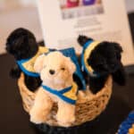 Three plush puppies in blue and yellow vests sit in a woven basket, with a cream puppy in front