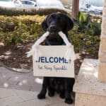 Black service dog holding a welcome sign that says Sit. Stay. Sparkle
