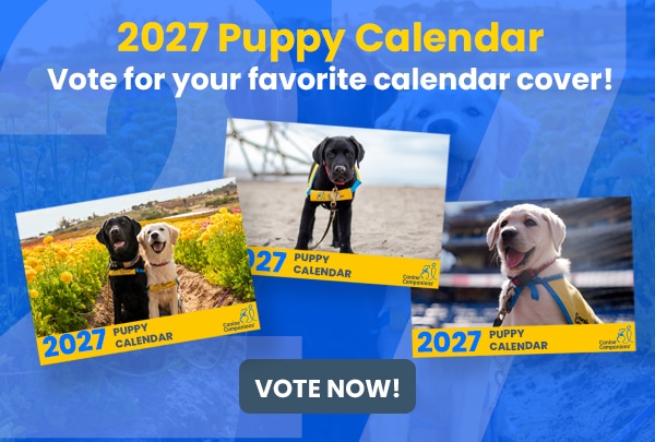 Image of the choices for the 2027 puppy calendar