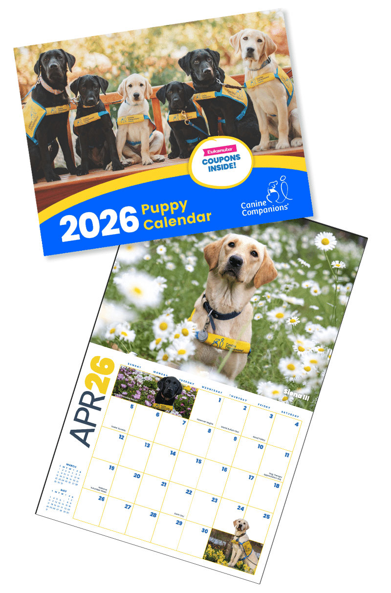 puppy calendar 2026