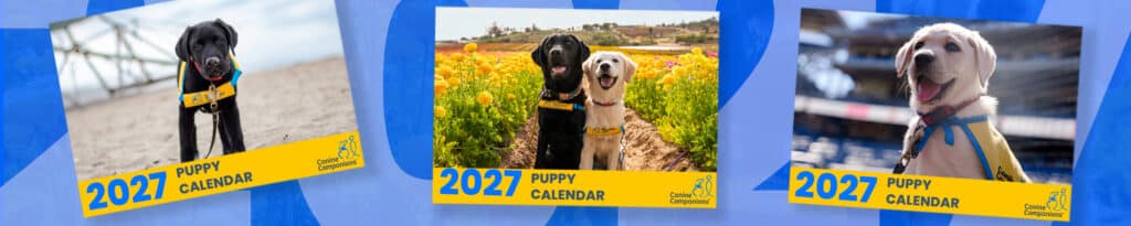 Three 2027 Canine Companions puppy calendar covers featuring yellow-vested puppies and Labradors outdoors