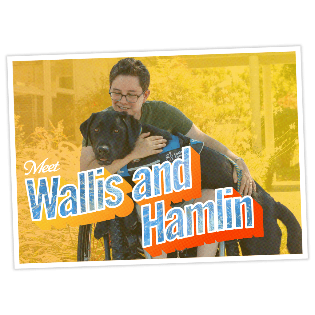 Person hugging a black service dog in a blue vest, with the text Meet Wallis and Hamlin