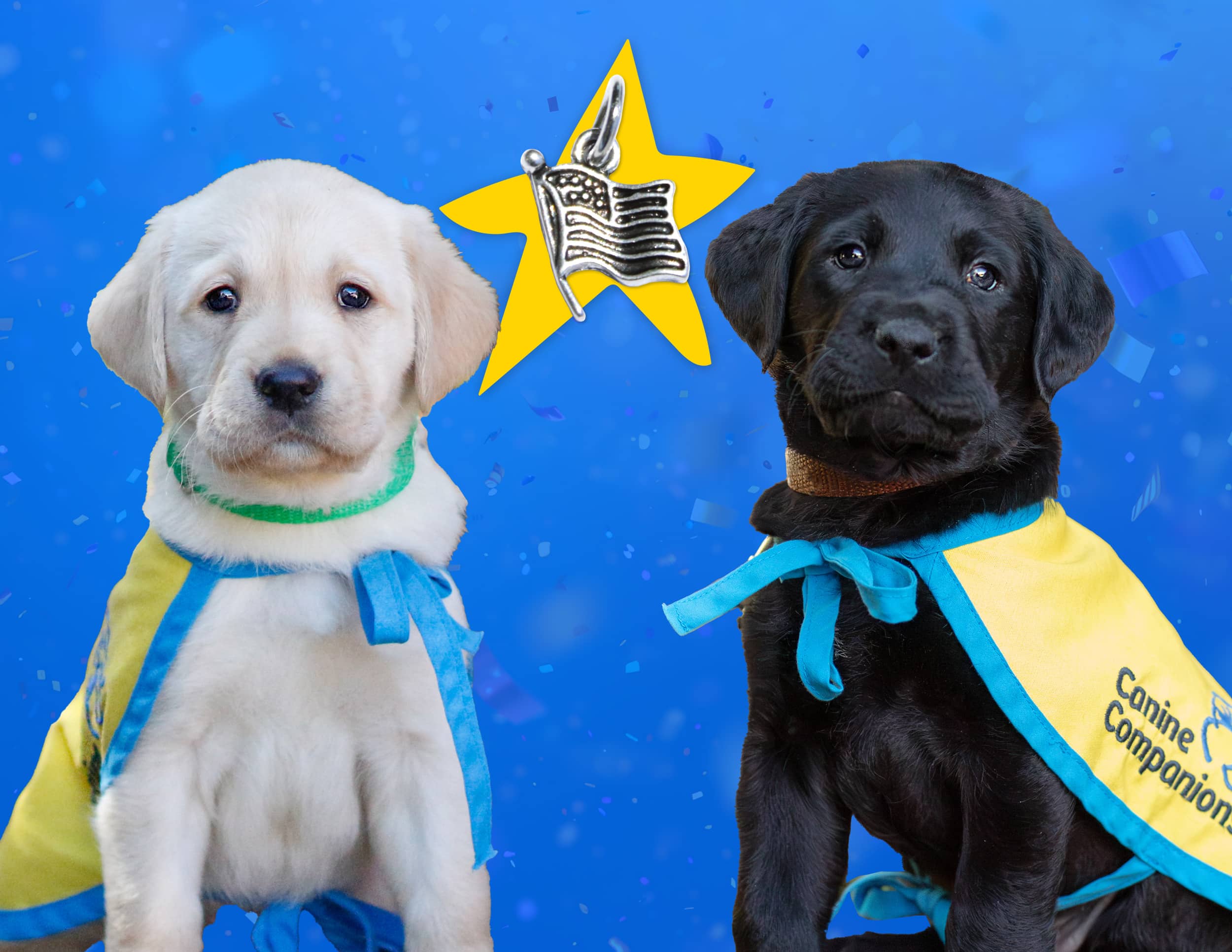 Two puppies in Canine Companions vests, one yellow and one blue, sit beside a star with an American flag charm on a blue background