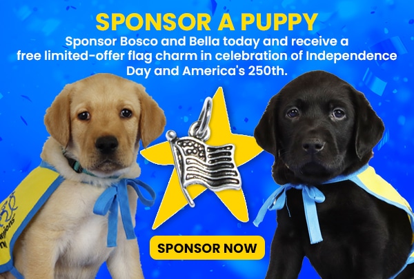 Two puppies in yellow vests with blue ribbons flank a star and flag charm