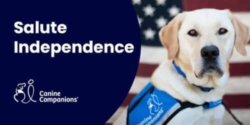 Canine Companions service dog in a blue vest beside Salute Independence text and a U.S. flag background