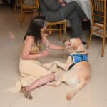 Woman in a cream dress pets a yellow Labrador wearing a blue service dog vest at a formal event