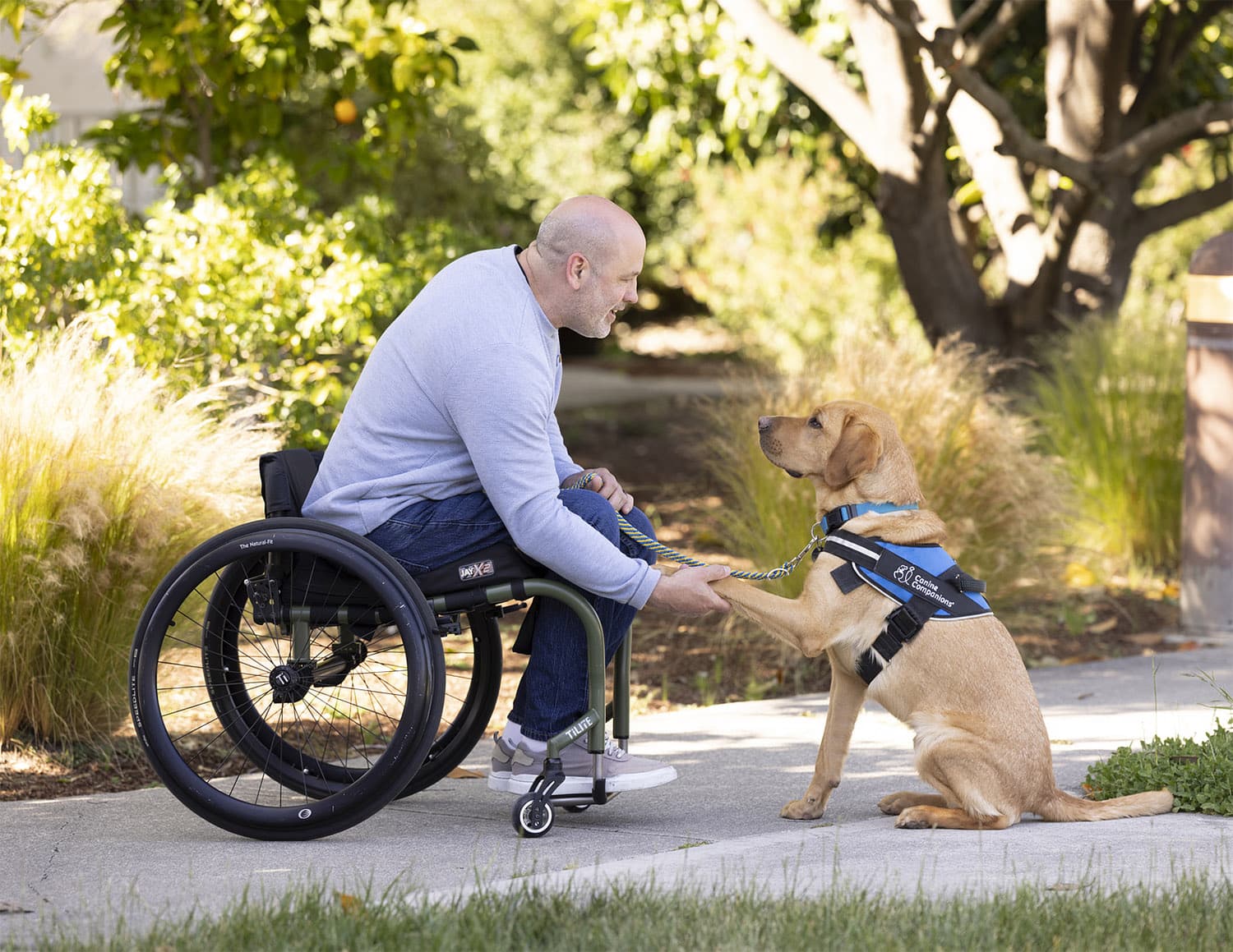 Man in a wheelchair greeting a yellow lab wearing a blue Canine Companions service dog vest on a path outdoors
