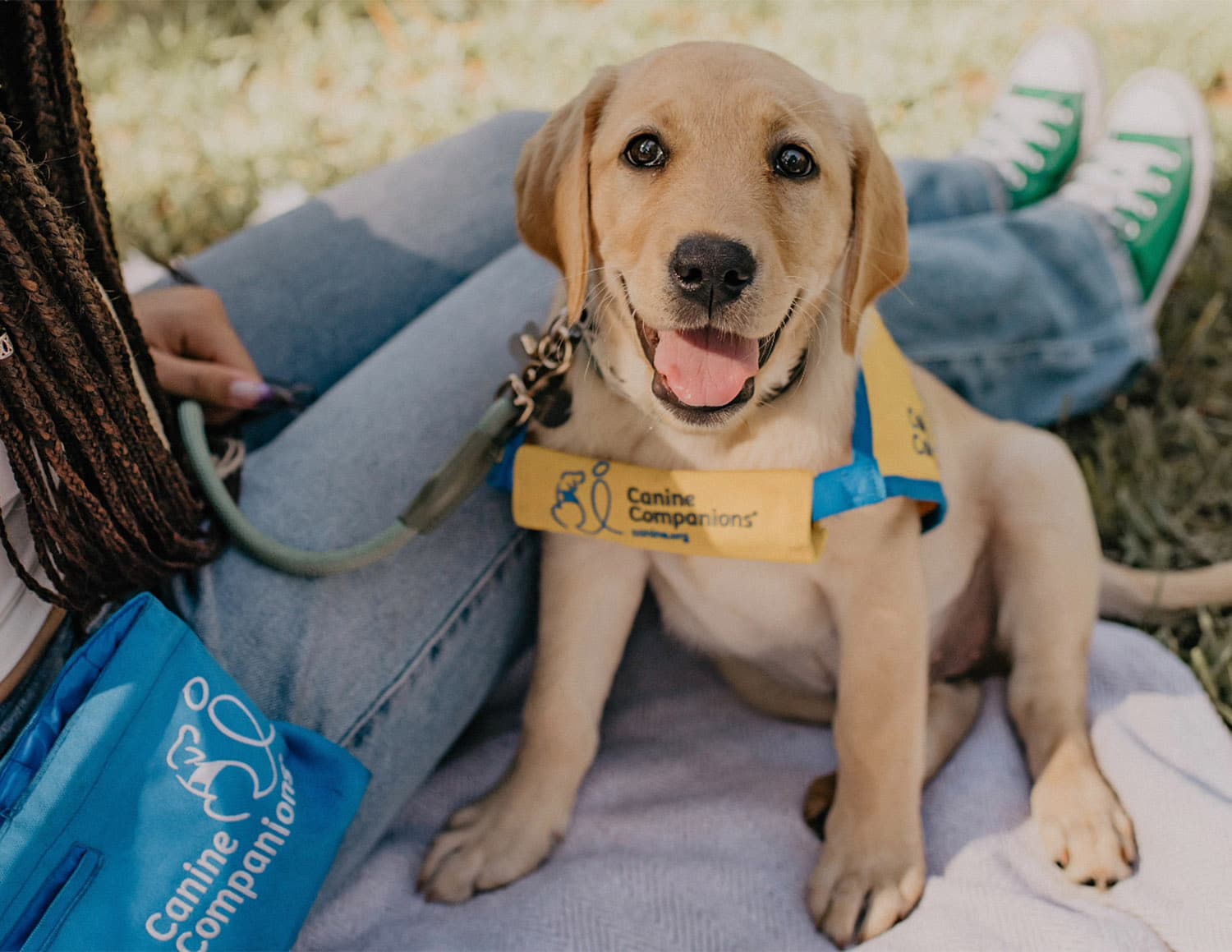 Yellow-vest Canine Companions puppy sits with a client outdoors on a blanket