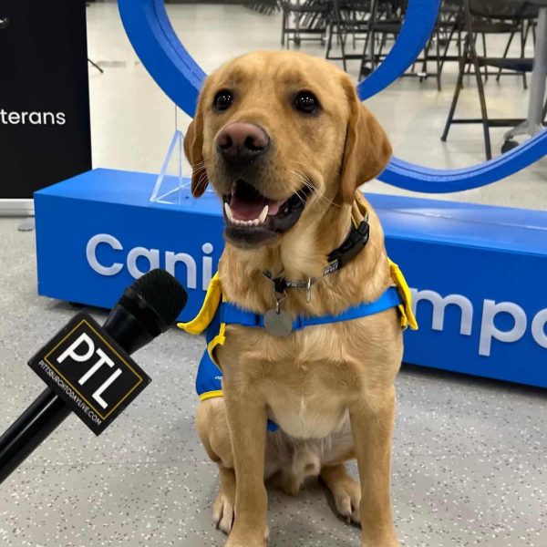 A yellow Labrador Retriever wearing a yellow and blue vest sits in front of a 'Canine Companions' sign, with a microphone labeled 'PTL' held up to the dog