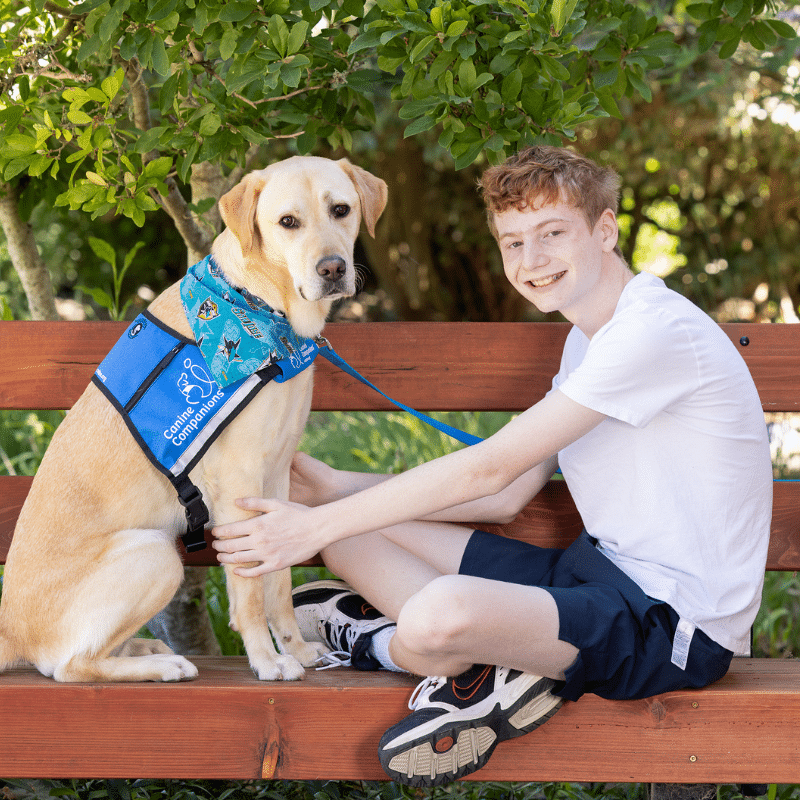 A young person sitting on a bench alongside a yellow Labrador retriever wearing a blue bandana and a harness. The person is smiling and stroking the dog, with greenery in the background.
