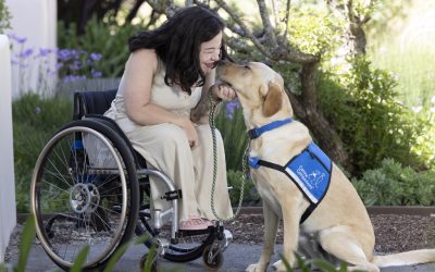 a woman in a wheelchair bending down to pet her yellow lab in a blue service vest