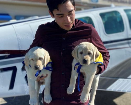 A young man holds two puppies in front of an airplane